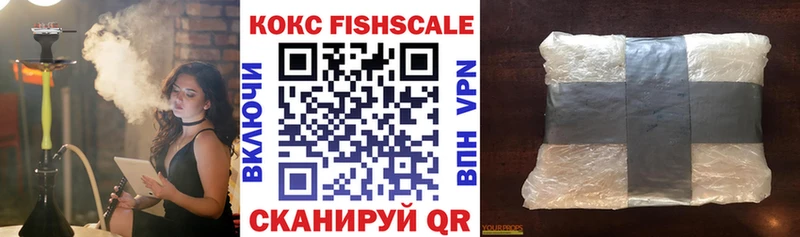 цена   Курган  блэк спрут как зайти  COCAIN Fish Scale 
