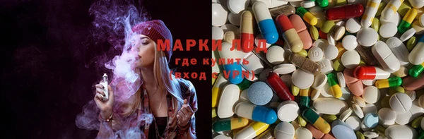 PSILOCYBIN Заводоуковск
