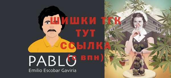 PSILOCYBIN Заводоуковск