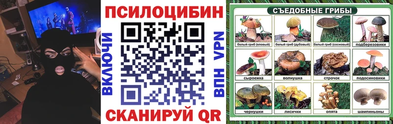 Галлюциногенные грибы Psilocybe  Курган 